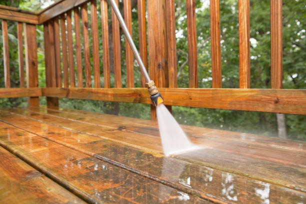 Best Eco-Friendly Pressure Washing in Dansville, NY